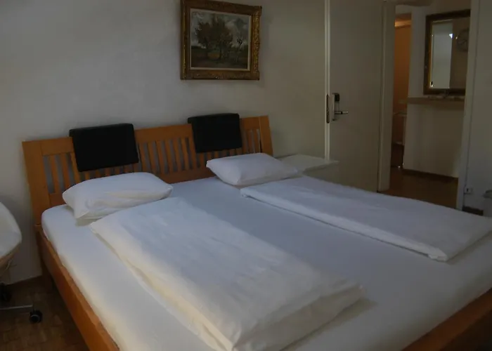 Linda'S Backpacker Zuerich City